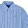 Textil Dívčí Košile / Halenky Polo Ralph Lauren LISMORESHIRT-SHIRTS-BUTTON FRONT SHIRT Modrá / Bílá / Modrá / Bílá