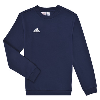 adidas Performance ENT22 SW TOPY