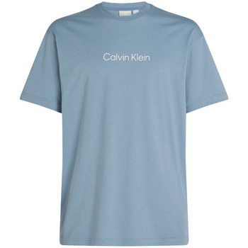 Textil Muži Trička s krátkým rukávem Calvin Klein Jeans K10K111346 Modrá