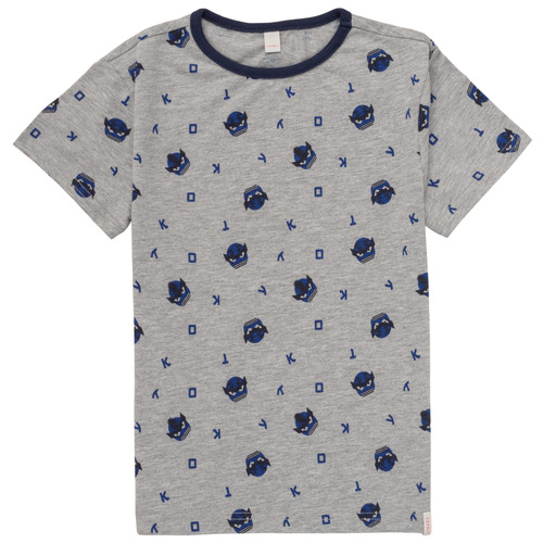 Kleidung Jungen T-Shirts Esprit EUGENIE Grau