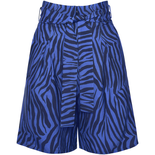 Kleidung Damen Shorts / Bermudas Lisca Lima  Sommer Short Blau