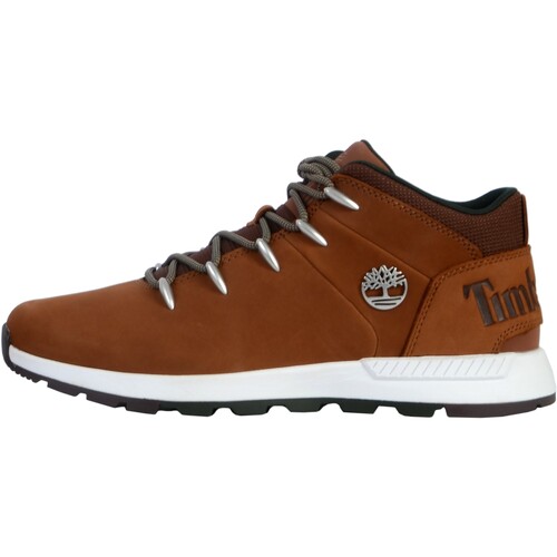 Schuhe Herren Sneaker High Timberland 173917 Braun