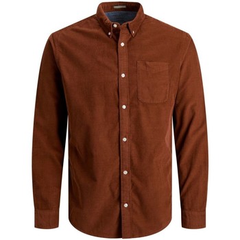 Kleidung Herren Langärmelige Hemden Jack & Jones 12196529 CORD SHIRT-SEQUOIA Braun