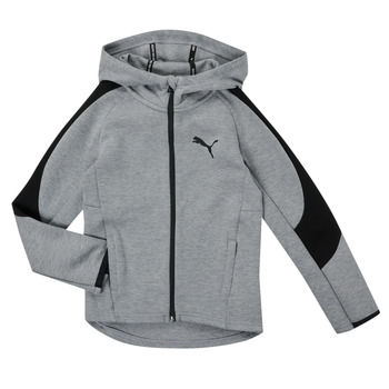 Kleidung Jungen Sweatshirts Puma EVOSTRIPE CORE FZ HOODIE Grau