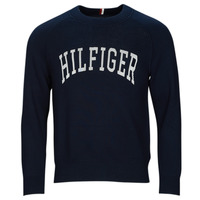 Kleidung Herren Sweatshirts Tommy Hilfiger VARSITY GRAPHIC CREW NECK Marine