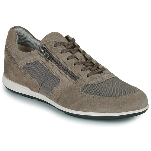 Schuhe Herren Sneaker Low Geox U IONIO Grau