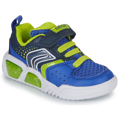 Schuhe Jungen Sneaker Low Geox J ILLUMINUS BOY Blau / Grün