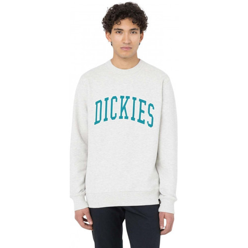 Kleidung Herren Sweatshirts Dickies Aitkin sweatshirt Grau