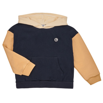 Kleidung Jungen Sweatshirts Petit Bateau LIVIO Marine / Braun / Weiss