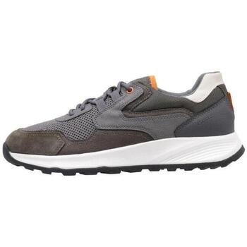 Schuhe Herren Sneaker Low Geox U TERRESTRE B Grau