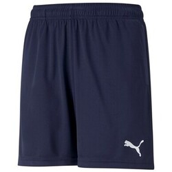 Kleidung Kinder Shorts / Bermudas Puma Teamrise Training Shorts Jr Blau