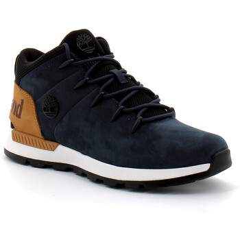 Schuhe Herren Sneaker Timberland  Blau