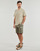 Kleidung Herren Shorts / Bermudas Teddy Smith EROL SH Kaki