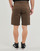 Kleidung Herren Shorts / Bermudas Volcom FRCKN MDN STRCH SHT 21 Braun