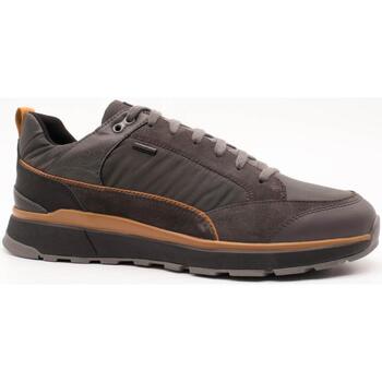 Schuhe Herren Sneaker Low Geox  Grau