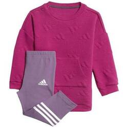 Kleidung Kinder Jogginganzüge adidas Originals GD3917 Violett