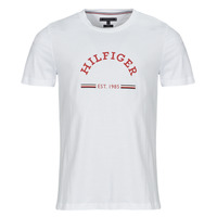 Kleidung Herren T-Shirts Tommy Hilfiger RWB ARCH GS TEE Weiss