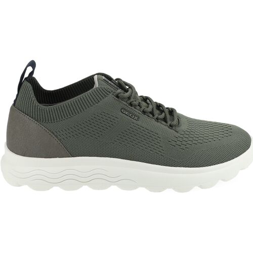 Schuhe Herren Sneaker Low Geox Sneaker Grün