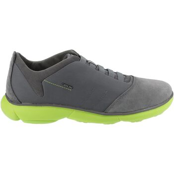 Schuhe Herren Sneaker Low Geox Sneaker Grau