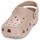 Schuhe Pantoletten / Clogs Crocs Classic Maulwurf