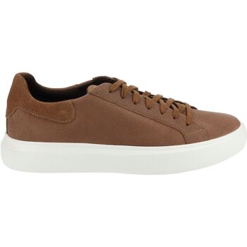 Schuhe Herren Sneaker Low Geox Sneaker Braun