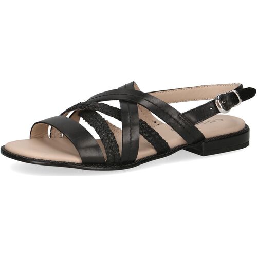 Schuhe Damen Sandalen / Sandaletten Caprice Sandalen Schwarz