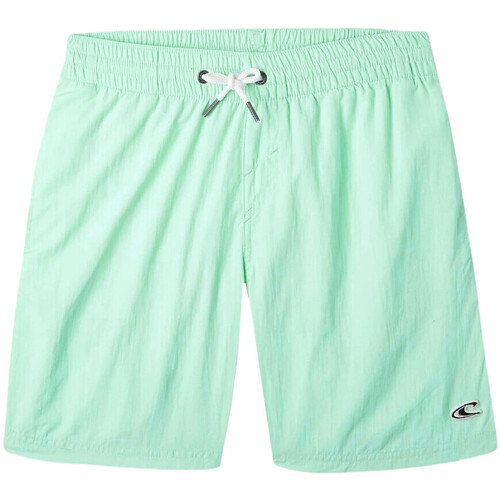 Kleidung Jungen Badeanzug /Badeshorts O'neill N4800001-15043 Grün