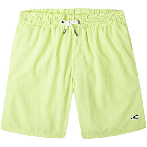 Kleidung Jungen Badeanzug /Badeshorts O'neill N4800001-12014 Grün