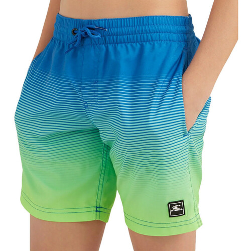 Kleidung Jungen Badeanzug /Badeshorts O'neill 4800034-25030 Grün