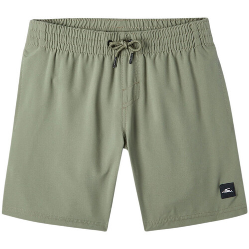 Kleidung Jungen Badeanzug /Badeshorts O'neill 4800028-16011 Grün