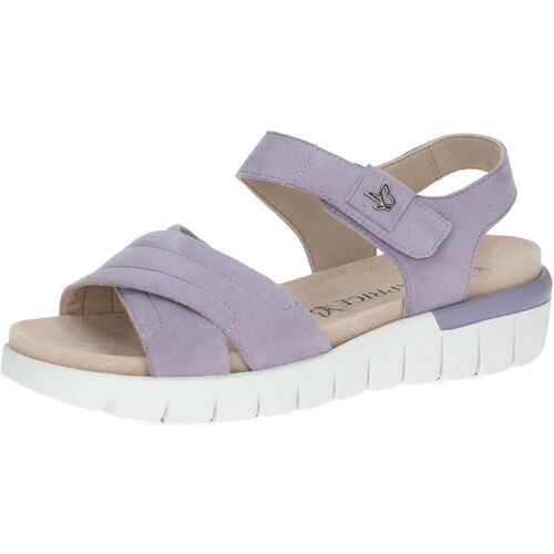 Schuhe Damen Sandalen / Sandaletten Caprice Sandalen Violett