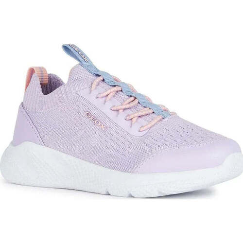 Schuhe Mädchen Sneaker Low Geox  Violett