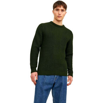 Kleidung Herren Pullover Jack & Jones  Grün