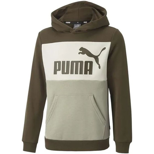 Kleidung Kinder Sweatshirts Puma  Grün