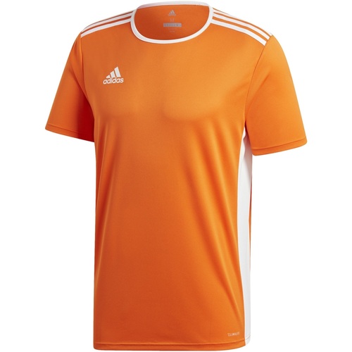 Kleidung Kinder T-Shirts & Poloshirts adidas Originals  Orange