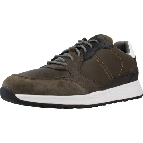 Schuhe Herren Sneaker Geox U MOLVENO Grün