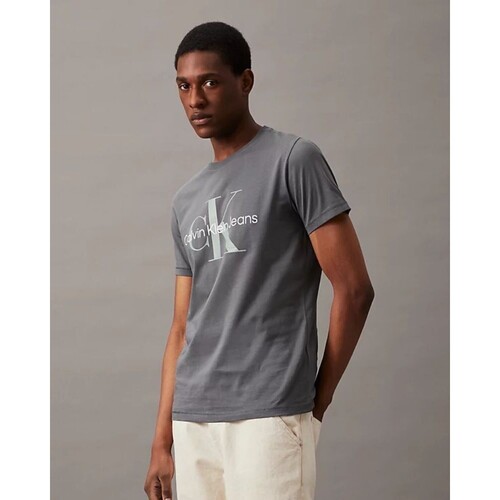 Kleidung Herren T-Shirts Calvin Klein Jeans J30J320806 Grau