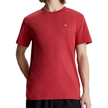 Kleidung Herren T-Shirts & Poloshirts Calvin Klein Jeans J30J325268 Rot