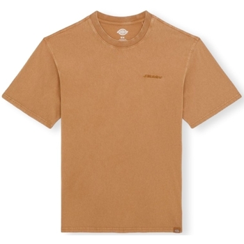 Kleidung Herren T-Shirts & Poloshirts Dickies Plentywood T-Shirt - Brown Braun