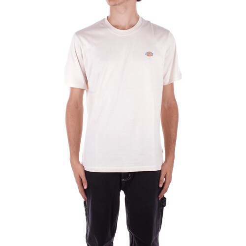 Kleidung Herren T-Shirts Dickies DK0A4XDB Other