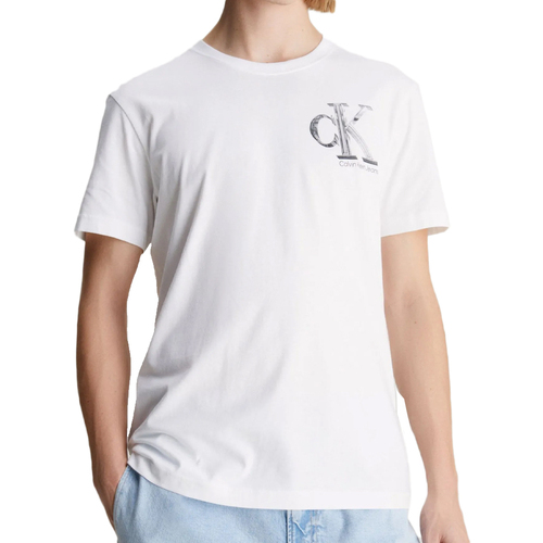 Kleidung Herren T-Shirts & Poloshirts Calvin Klein Jeans J30J325498 Weiss