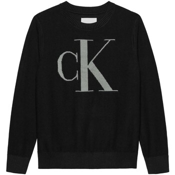 Kleidung Jungen Pullover Calvin Klein Jeans IB0IB02152 Schwarz