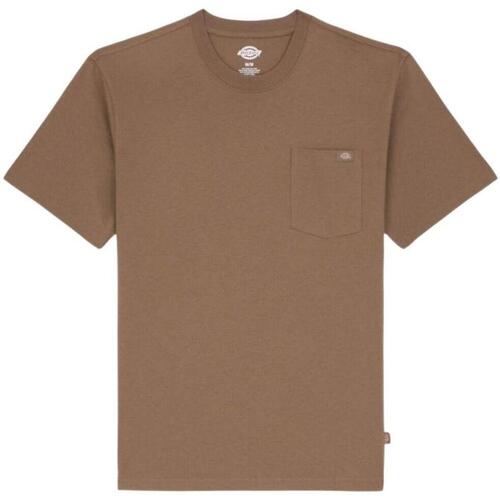 Kleidung Herren T-Shirts Dickies  Braun