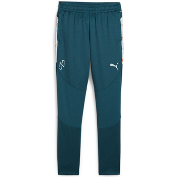 Kleidung Jungen Jogginghosen Puma 658957-13 Blau