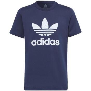 Kleidung Jungen T-Shirts & Poloshirts adidas Originals IC3071 Blau