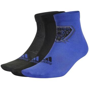 Unterwäsche Jungen Socken & Strümpfe adidas Originals HI1231 Blau