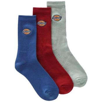 Unterwäsche Jungen Socken & Strümpfe Dickies DK0A4X82B82 Grau