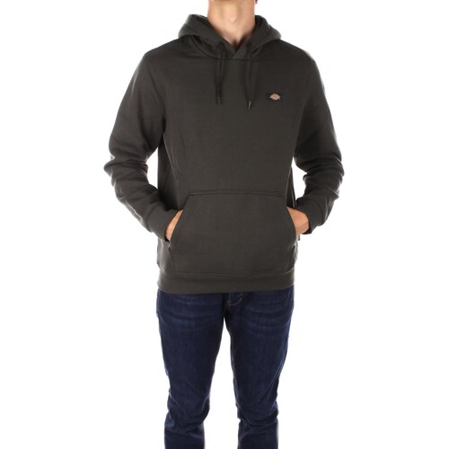 Kleidung Herren Sweatshirts Dickies DK0A4XCD Grün