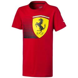 Kleidung Jungen T-Shirts & Poloshirts Puma 576729-01 Rot