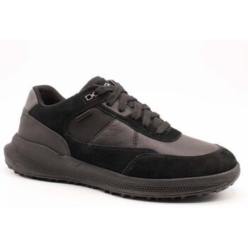 Schuhe Herren Sneaker Low Geox  Schwarz